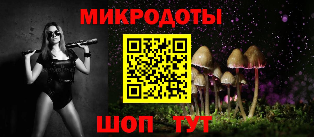 Курчалой  Псилоцибиновые грибы Psilocybe  Вход с VPN 